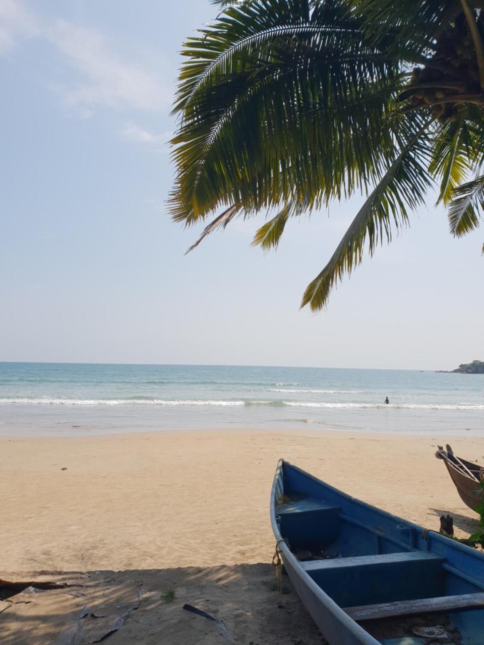 Palm Forest Palolem Εξωτερικό φωτογραφία