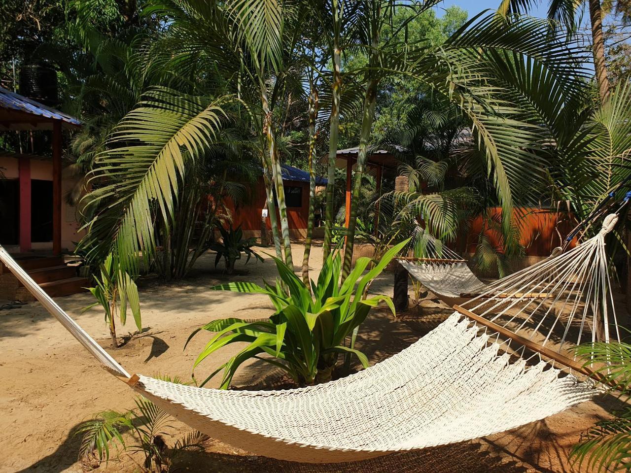 Palm Forest Palolem Εξωτερικό φωτογραφία